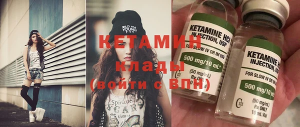 прущие грибы Дмитриев