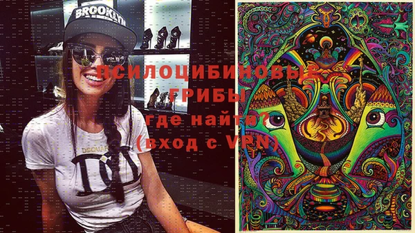 гидропоника Дмитровск
