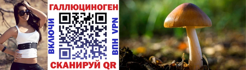 Псилоцибиновые грибы Psilocybe Озёрск
